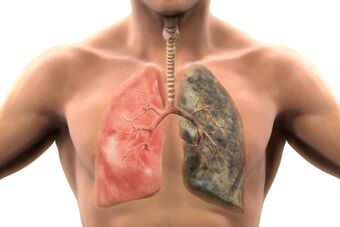 Her nefeste 200'den fazla zararlı bileşik vücudu zehirler